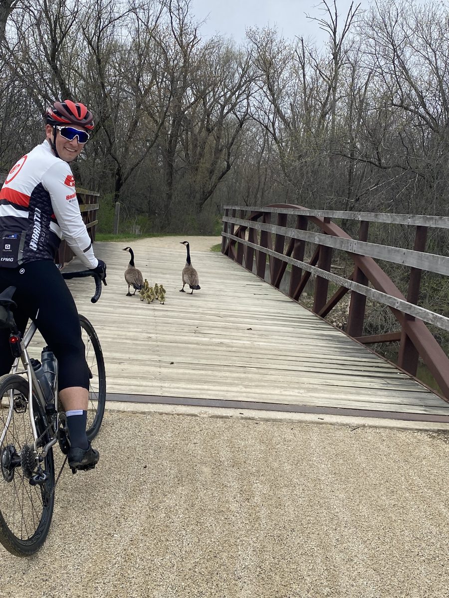 Rider under a bridge with geese